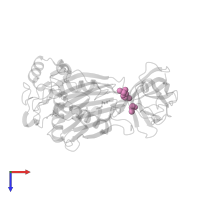 DIMETHYL SULFOXIDE in PDB entry 6xy7, assembly 1, top view.