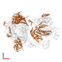 Polymerase acidic protein in PDB entry 6xzd, assembly 1, front view.