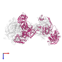 Polymerase basic protein 2 in PDB entry 6xzd, assembly 1, top view.