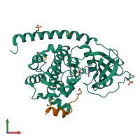 PDB entry 6y2o coloured by chain, front view.