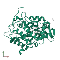 Cytochrome c peroxidase, mitochondrial in PDB entry 6y2y, assembly 1, front view.
