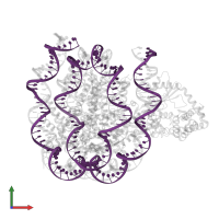 DNA (153-MER) in PDB entry 6y5e, assembly 1, front view.