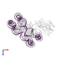 DNA (153-MER) in PDB entry 6y5e, assembly 1, top view.