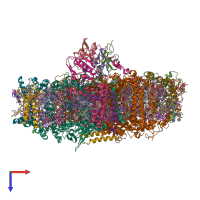 PDB entry 6yac coloured by chain, top view.