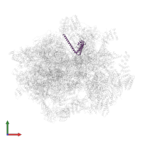 Mitochondrial ribosomal protein S15 in PDB entry 6ydp, assembly 1, front view.