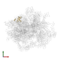 Large ribosomal subunit protein bL17m in PDB entry 6ydp, assembly 1, front view.