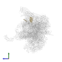 Large ribosomal subunit protein bL17m in PDB entry 6ydp, assembly 1, side view.