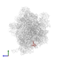 Small ribosomal subunit protein uS17 in PDB entry 6yef, assembly 1, side view.