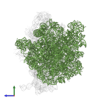 23S ribosomal RNA in PDB entry 6yef, assembly 1, side view.