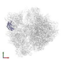 Small ribosomal subunit protein uS3 in PDB entry 6yef, assembly 1, front view.