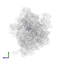 Small ribosomal subunit protein uS3 in PDB entry 6yef, assembly 1, side view.