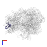 Small ribosomal subunit protein uS3 in PDB entry 6yef, assembly 1, top view.