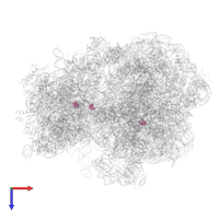 Modified residue OMC in PDB entry 6yef, assembly 1, top view.