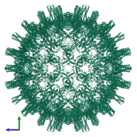 Capsid protein in PDB entry 6ygi, assembly 1, side view.