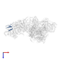 Cytochrome c oxidase subunit 12, mitochondrial in PDB entry 6ymx, assembly 1, top view.