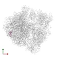 Large ribosomal subunit protein uL29 in PDB entry 6yst, assembly 1, front view.
