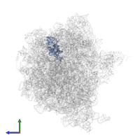 P/E-site tRNAPhe in PDB entry 6yst, assembly 1, side view.