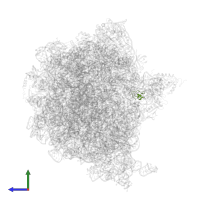 Large ribosomal subunit protein bL36A in PDB entry 6yst, assembly 1, side view.