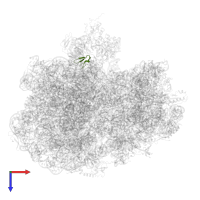 Large ribosomal subunit protein bL36A in PDB entry 6yst, assembly 1, top view.