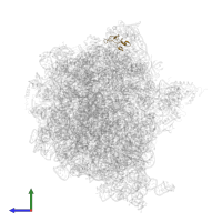 50S ribosomal protein L31 in PDB entry 6yst, assembly 1, side view.