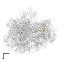 50S ribosomal protein L31 in PDB entry 6yst, assembly 1, top view.