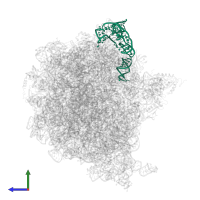5S ribosomal RNA in PDB entry 6yst, assembly 1, side view.