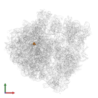 Modified residue OMC in PDB entry 6yst, assembly 1, front view.