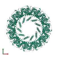 Homo undecameric assembly 1 of PDB entry 6ytx coloured by chemically distinct molecules, front view.