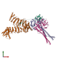 Hetero tetrameric assembly 1 of PDB entry 6yvd coloured by chemically distinct molecules, front view.
