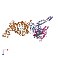 Hetero tetrameric assembly 1 of PDB entry 6yvd coloured by chemically distinct molecules, top view.