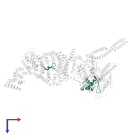 Condensin complex subunit 2 in PDB entry 6yvd, assembly 1, top view.