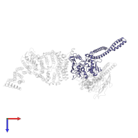 Structural maintenance of chromosomes protein 2 in PDB entry 6yvd, assembly 1, top view.