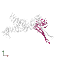 Structural maintenance of chromosomes protein 4 in PDB entry 6yvd, assembly 1, front view.