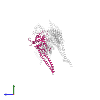 Structural maintenance of chromosomes protein 4 in PDB entry 6yvd, assembly 1, side view.