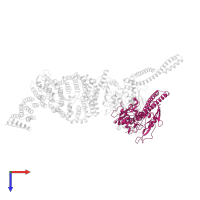 Structural maintenance of chromosomes protein 4 in PDB entry 6yvd, assembly 1, top view.