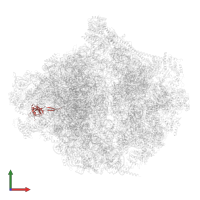 Related to ribosomal protein YmL49, mitochondrial in PDB entry 6ywe, assembly 1, front view.