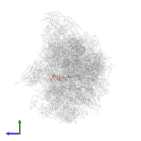 Related to ribosomal protein YmL49, mitochondrial in PDB entry 6ywe, assembly 1, side view.