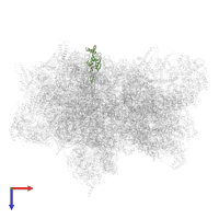 50S ribosomal protein L24 in PDB entry 6ywe, assembly 1, top view.