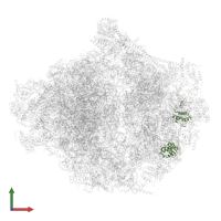 Small ribosomal subunit protein uS9m in PDB entry 6ywe, assembly 1, front view.