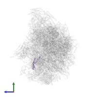 Mitochondrial 37S ribosomal protein MRP2 in PDB entry 6ywe, assembly 1, side view.