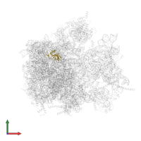 Large ribosomal subunit protein uL14m in PDB entry 6yws, assembly 1, front view.