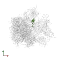 Large ribosomal subunit protein uL16m in PDB entry 6yws, assembly 1, front view.