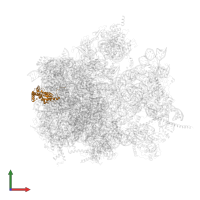 Large ribosomal subunit protein bL17m in PDB entry 6yws, assembly 1, front view.