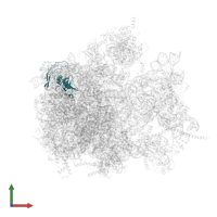 Large ribosomal subunit protein bL19m in PDB entry 6yws, assembly 1, front view.