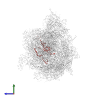 Large ribosomal subunit protein uL22m in PDB entry 6yws, assembly 1, side view.