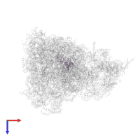 Large ribosomal subunit protein bL28m in PDB entry 6yws, assembly 1, top view.