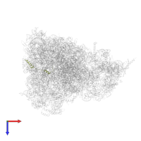 Large ribosomal subunit protein bL32m in PDB entry 6yws, assembly 1, top view.