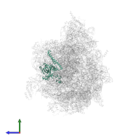 Large ribosomal subunit protein mL38 in PDB entry 6yws, assembly 1, side view.