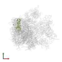Large ribosomal subunit protein mL44 in PDB entry 6yws, assembly 1, front view.