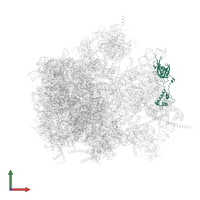 Large ribosomal subunit protein mL46 in PDB entry 6yws, assembly 1, front view.